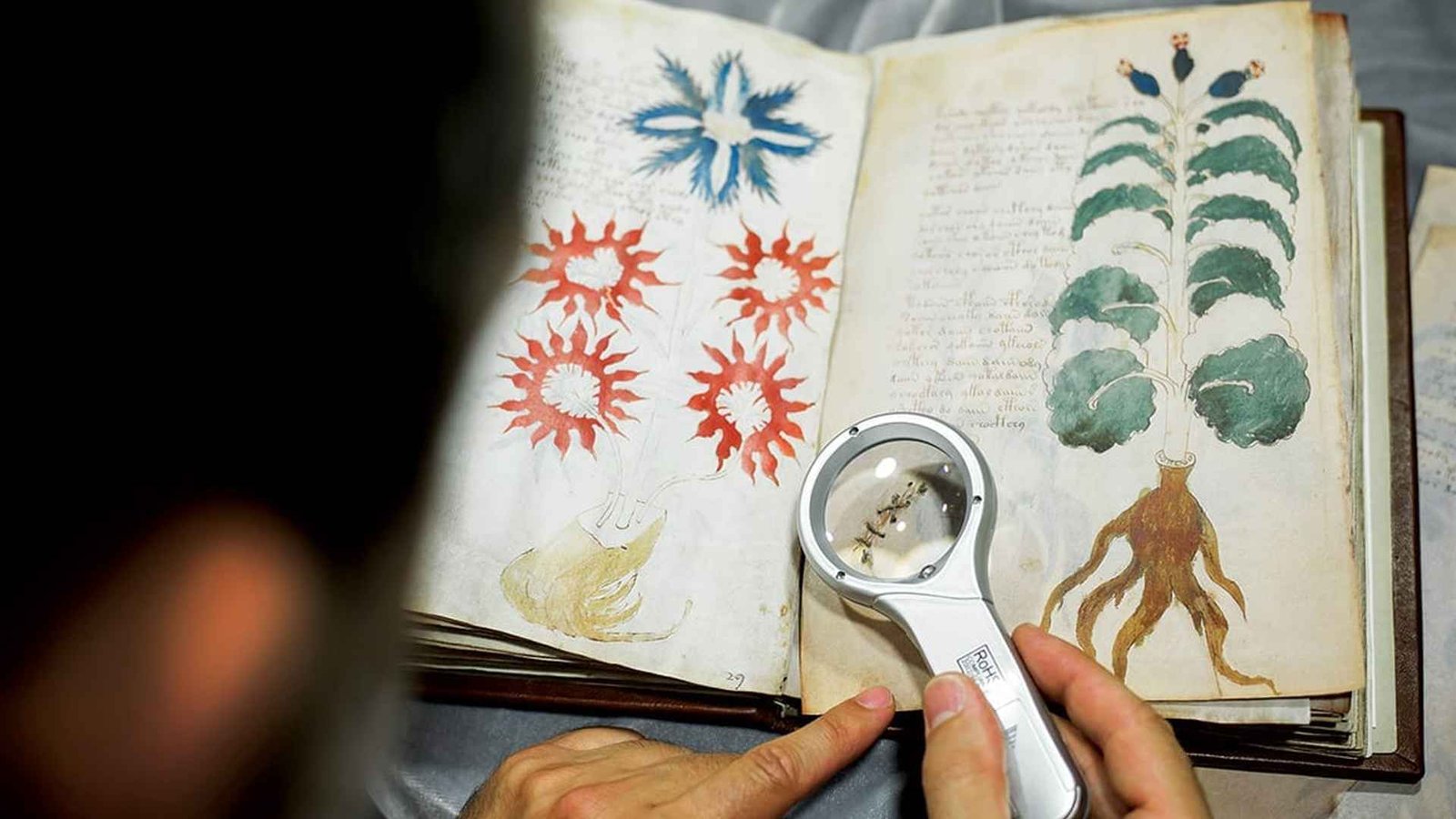 VOYNICH