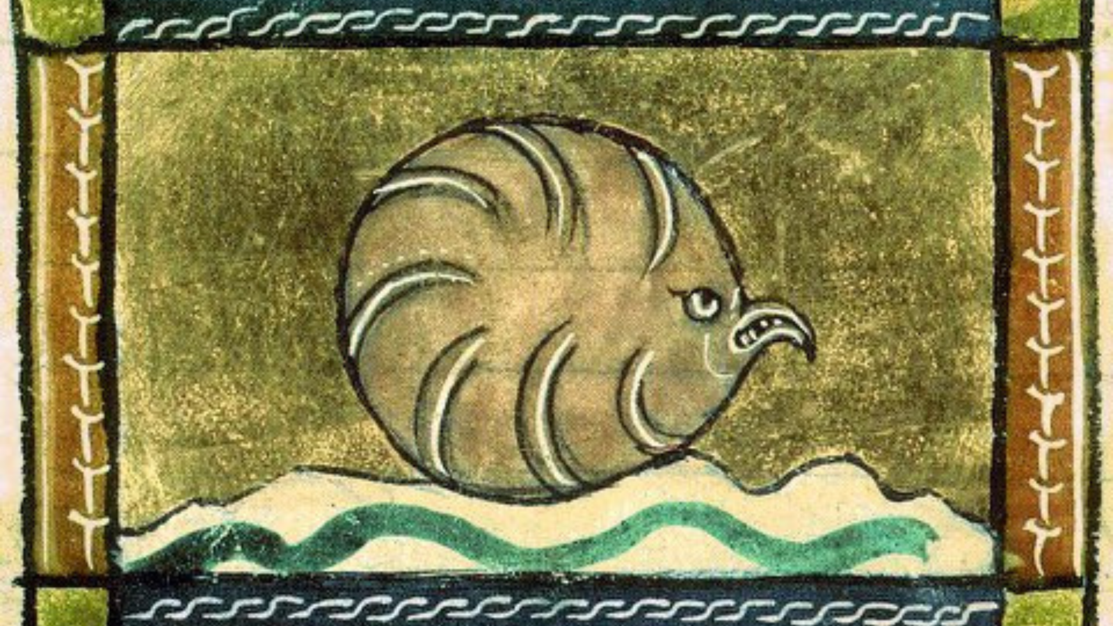 Nacra, una especie de molusco similar a la ostra. c. Siglo XIV